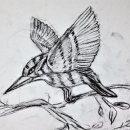 보태니컬 아트 전문가 이미지