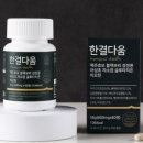 보리다움