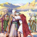 야곱이네염소 이미지