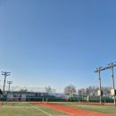 계수 약국 | 테니스 치다 손목 망가질 뻔했습니다 — 반테린서포터 손목보호대 솔직 사용 후기