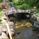 연못가든 이미지