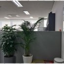 비젼부동산중개사무소 이미지