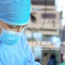 창원메디컬동물병원 이미지