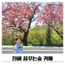 꿈꾸는 바다 | 진해 꿈꾸는 숲 겹벚꽃카페 후기