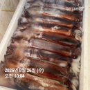 사이즈 좋은 초코오징어! 전복 미역줄기 비빔낙지젓 판매합니다 이미지