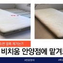 모두싹청소 이미지