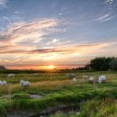 승화농장 이미지