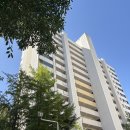 한솔프라자앞(공원) 이미지