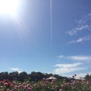 기복농장 이미지