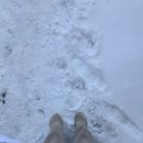 국립아시아문화전당 관광안내소 | 얼렁뚱땅 광주 북카페 투어 (독립서점 책과 생활, 손탁앤아이허)