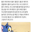 톰과 제리 비디오 이미지