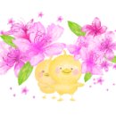 설레나봄