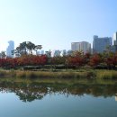 호수공원소나무숲길 이미지