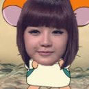 뽀미랑 Daum카페