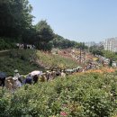 장미원 이미지
