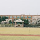운동장 이미지