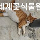 신리길L 이미지