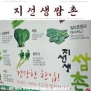 「옥천맛집」 조용한 곳에서 쌈밥, <지선생쌈촌> 후기