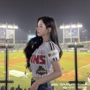 야구장 - 전주시 완산구 | 야구장