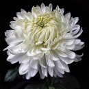 아뜰리에미술교습소 이미지