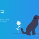 영천시농업기술센터_유기동물보호소 | 25. 12. 15 유기동물 등록현황(공고 106마리, 보호중 4마리)