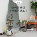 포토바이엔 | 인천 속눈썹 연장 잘하는 곳! 부평속눈썹연장 - 바이엔래쉬
