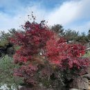 허굴산장 이미지