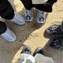 평화장 - 동대문구 왕산로 230 | Apr. 행복이 데굴데굴