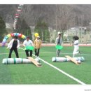 고한초등학교 Daum카페