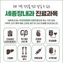 세종장 네이버블로그