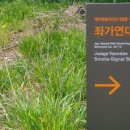 두모연대 이미지