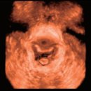 세종다온동물병원 이미지