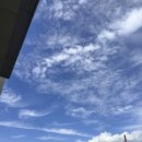 마포구민체육센터 화장실 | 마포구민체육센터 헬스장 일일권 이용 후기 가격