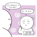 연어홀릭