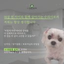 뭉치동물약국 | 강아지심장사상충주사가격, 1가지를 주의해 주세요.
