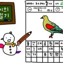 비둘기 이미지