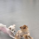 루앤멍 이미지