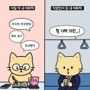 일력 이미지