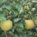 월곡리마을회관 이미지