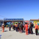 선도수선화 이미지