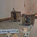 고양 로봇박물관 이미지