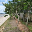 낙지공원 노을길야영장 무인카페 이미지