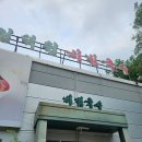 인덕원비빔국수 | 인덕원 맛집, 인덕원비빔국수 본점 주말 오픈런 후기