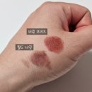 스무스브릭 | [내돈내산] 투슬래시포 클라우드 립 칠러 후기, 브릭 프리즈, 칠드 나잇 (발색, 사용감)