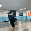 서면태권도장 이미지