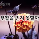 6월 25일(화) 왜 부활을 믿지 못할까요? 이미지