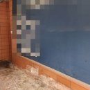 은평 진관고등학교 앞 이미지