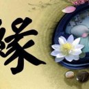광석 Daum카페
