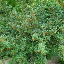 장성토박이공인중개사사무소 이미지