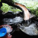 대성골1 이미지